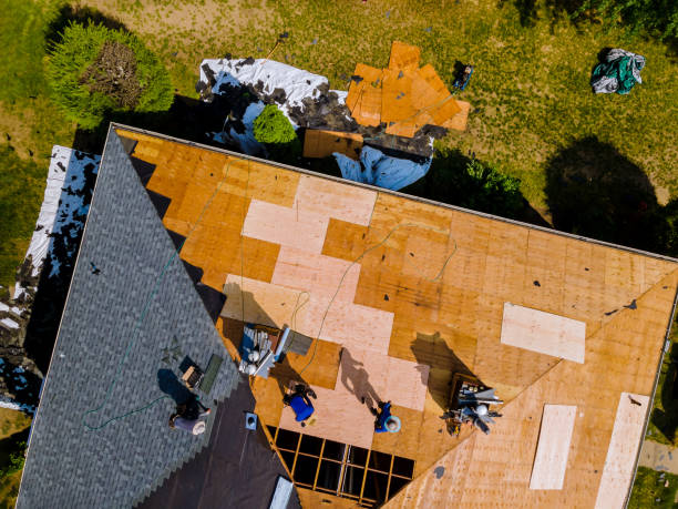 Best Emergency Roof Repair  in Flushing, MI