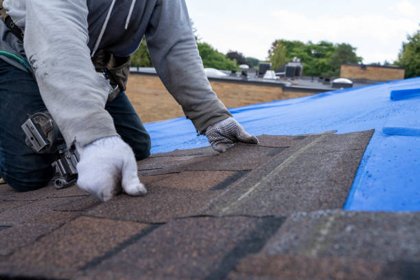 Best Commercial Roofing Services  in Flushing, MI