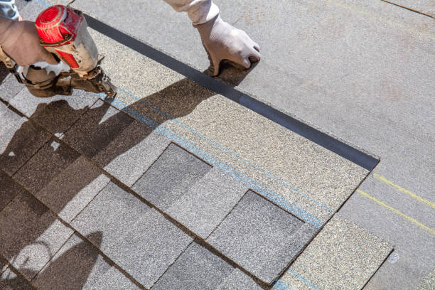 Best Roof Restoration Services  in Flushing, MI